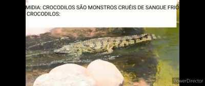 QUE BONITINHO ELE ESCORREGANDO