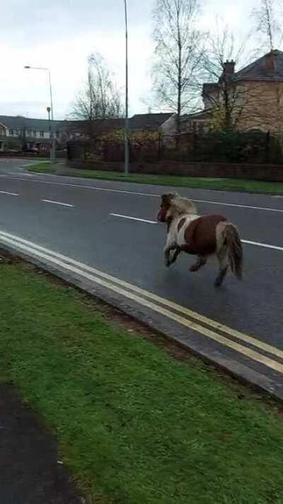 Meanwhile in Cork...