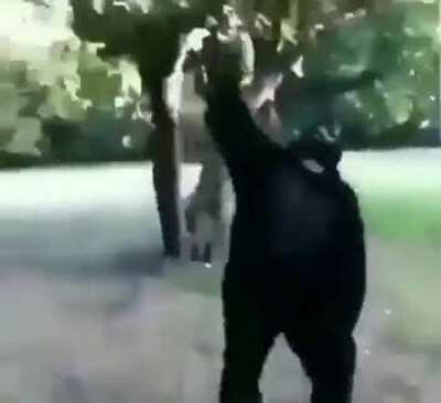 Plátano Torino defendiendo a sus panas de un viewer de illojuan 😲😲😲