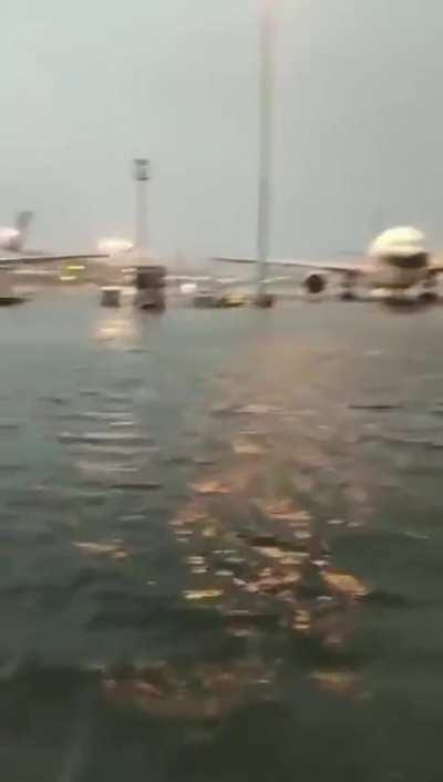 This is what Beijing Airport looks like now because of the ongoing flooding. 