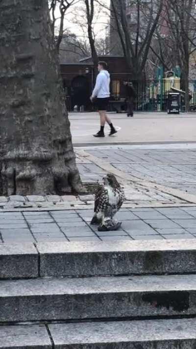 Outdoor dining on Houston