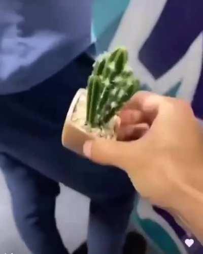 There's something in your pocket