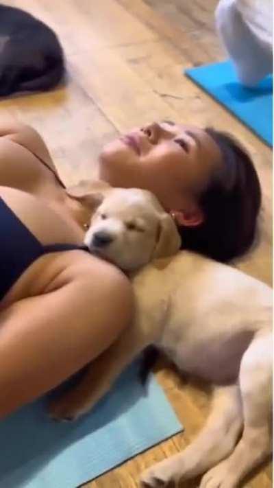 This would cure my soul