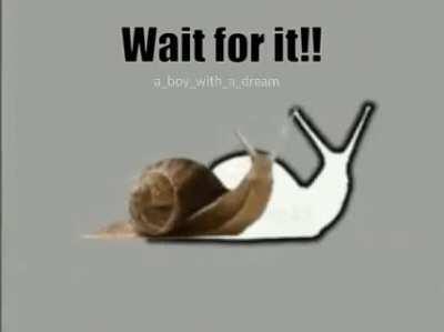 You will never reach the truth