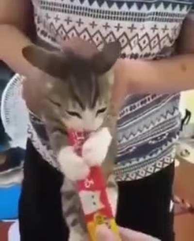 Do not touch my food