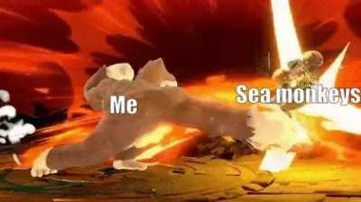 Return to monke? more like return them to the bioreactor