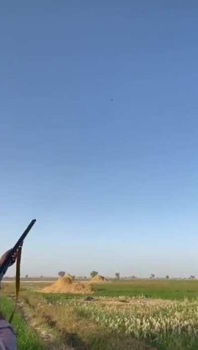 Bullseye, literally !