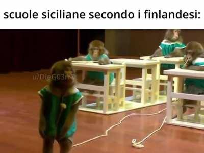 Le scuole italiche del sium