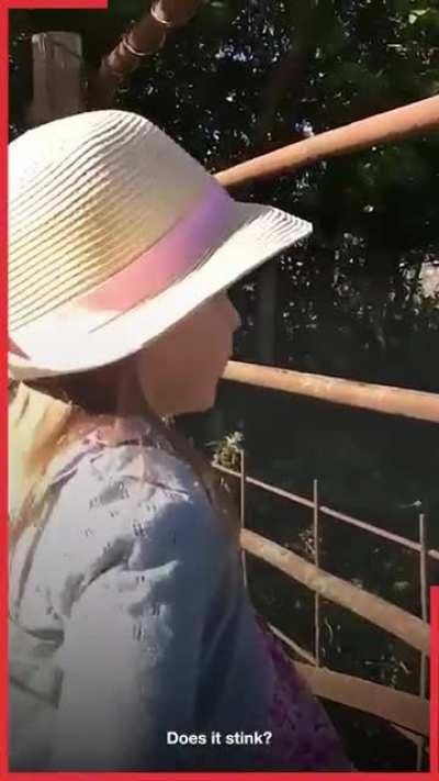 Stolen from Instagram (@ladbible)