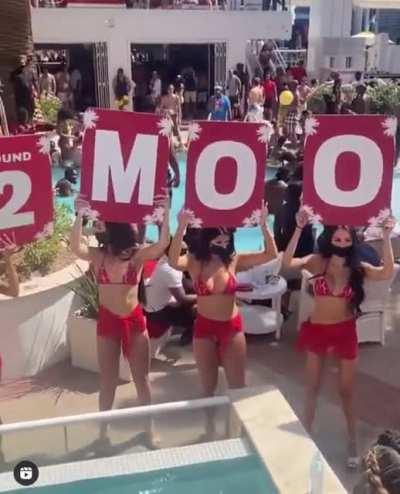 Which huge dicked Ape did this? What a legend! 🦍 🚀 🌝