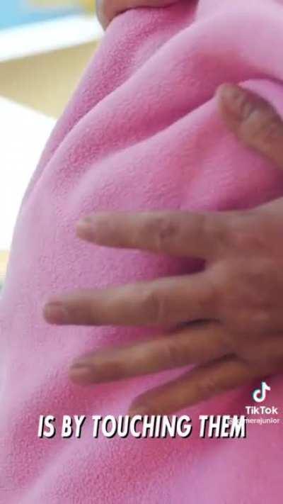 Mohammed Bzeek is living proof of good in this world