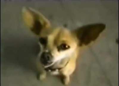 Yo quiero Taco Bell™.