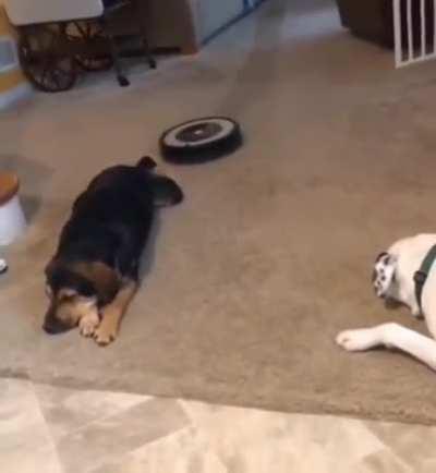 “Why he always blame me”