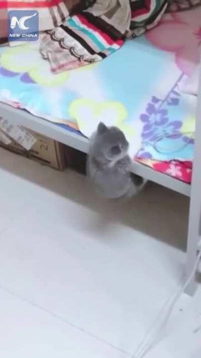 Al... most...got...it... (turn off sound)