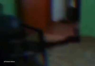 it's time for jawsh to wake up