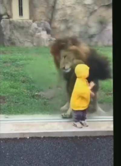 This is why you never turn your back on a predator