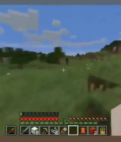 Oh, that's the enderman