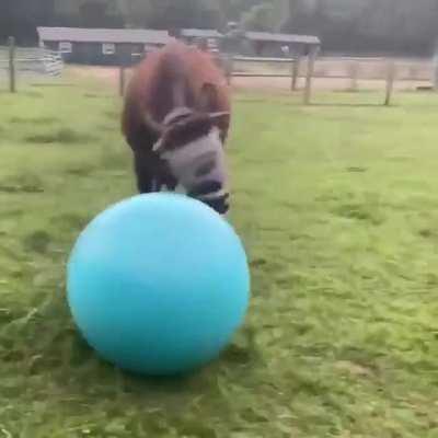 Leo heading the ball