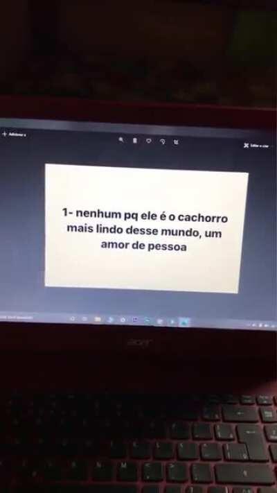 Eu acho que ele não gostou muito