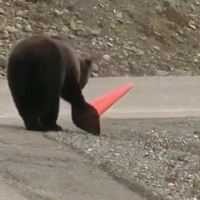 🔥 Such a considerate bear to want to fix the position of the cone.