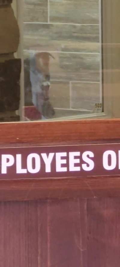 My dogs were not happy with waiting