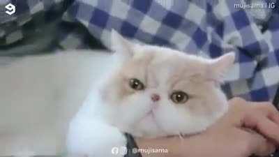 Productivity level: Low.