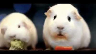 When you wanted Broccoli but get a Carrot instead