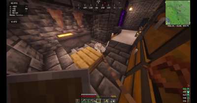 cats as chest locks?