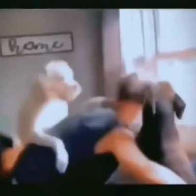 The owner imitates the dog’s daily life.