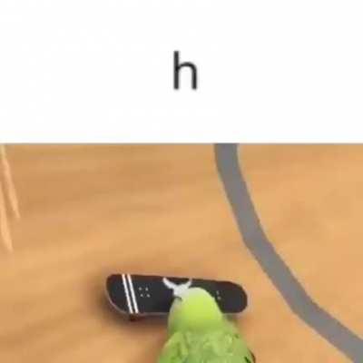 h