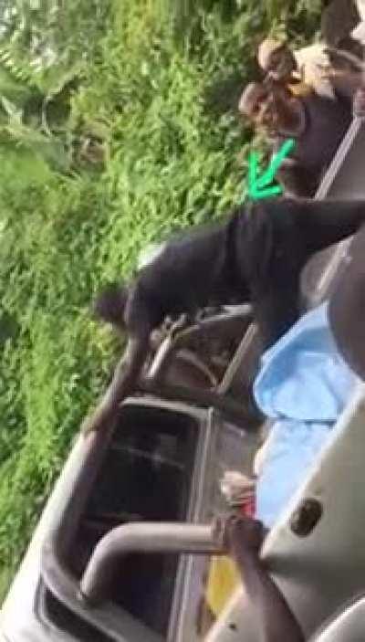 No mms no se que hubieran hecho sin la ayuda de este wey!