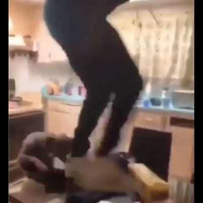 “He don’t bite, he friendly.”