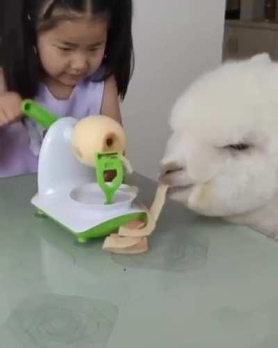 Strangely, it makes me happy.