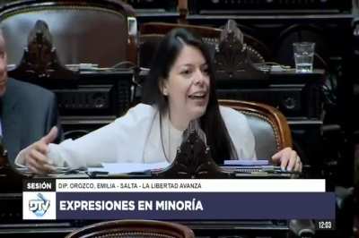 Diputada Orozco, Emilia: 