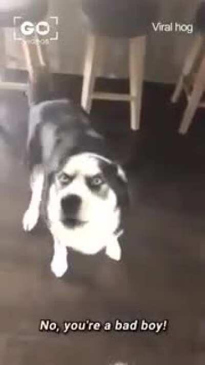 LALALA I cant hear you LALALA