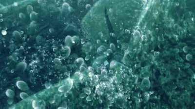 Can't believe one of the best dynamic intros in the series was for HER.