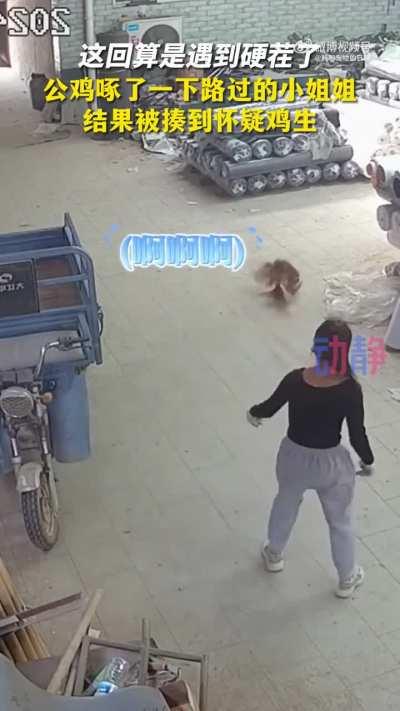 kung fu woman vs chicken