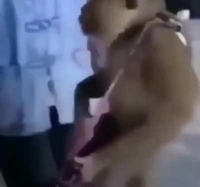 kurt cobain in Brazil