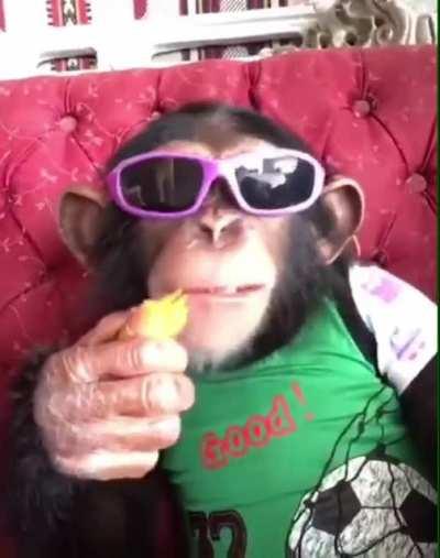 What da monkey doin