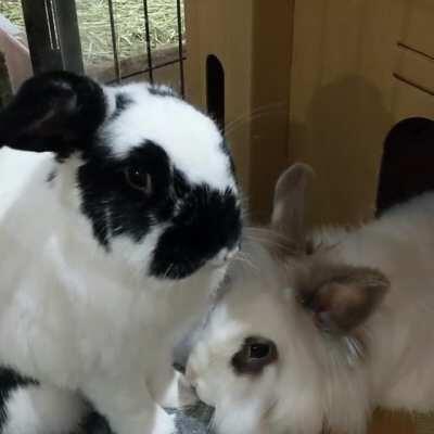 Protective of his lady!