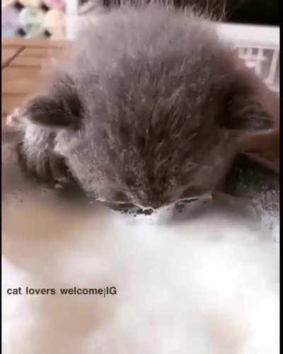 Imagine getting a bowl of delicious food that's twice your size!