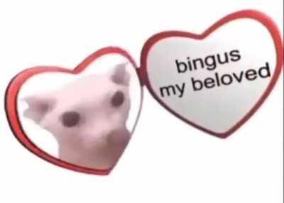 bingis <3 ❤️