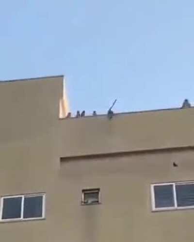 Muca lol flagrado fazendo macaquices em seu condomínio na barra, confira :