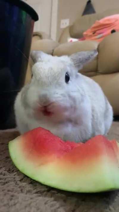 Sweet tart and her watermelon
