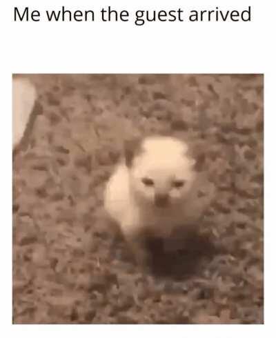 *poof* with out a trace