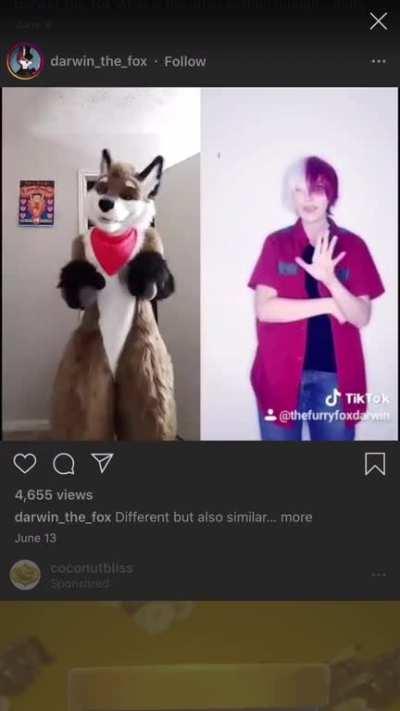 My cousin sent me this