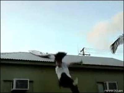 A roller coaster of emotion