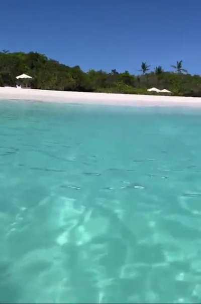 Pia Wurtzbach Swimming Bikini