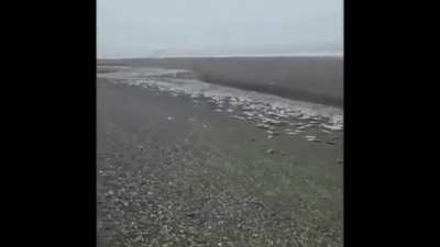 Вот как так можно?