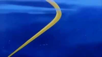 And I've seen, all I'll ever need